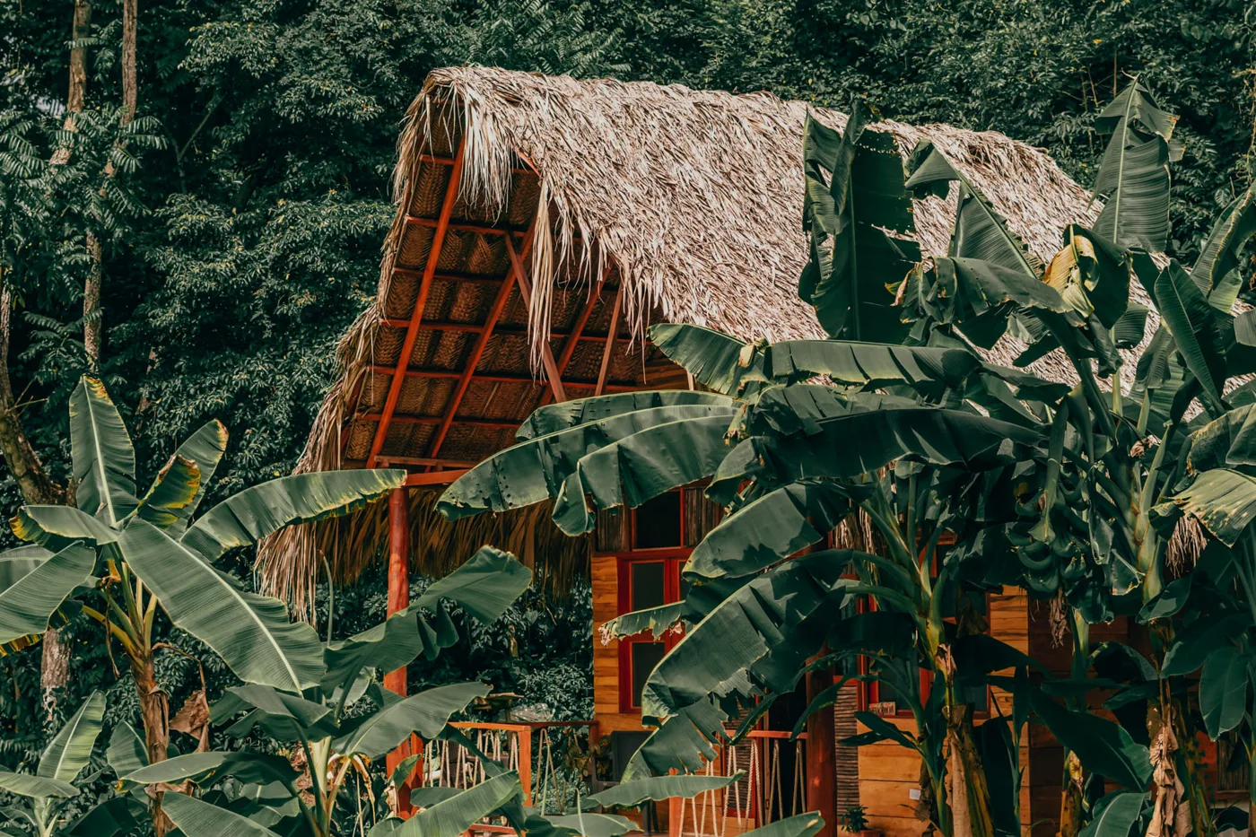 Cabaña Magic Green en el bosque