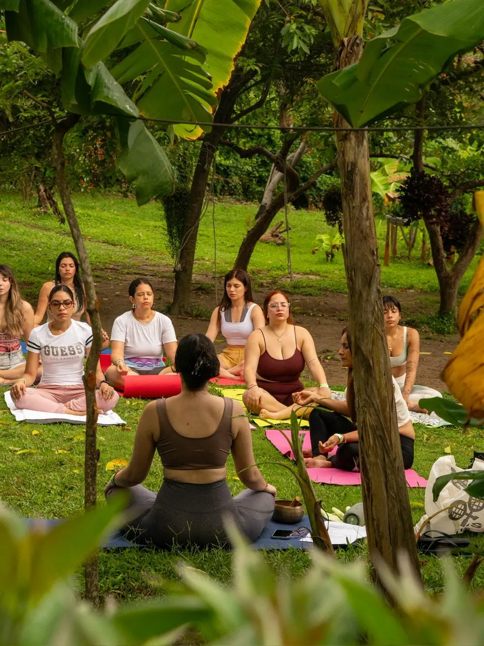 Meditación en grupo