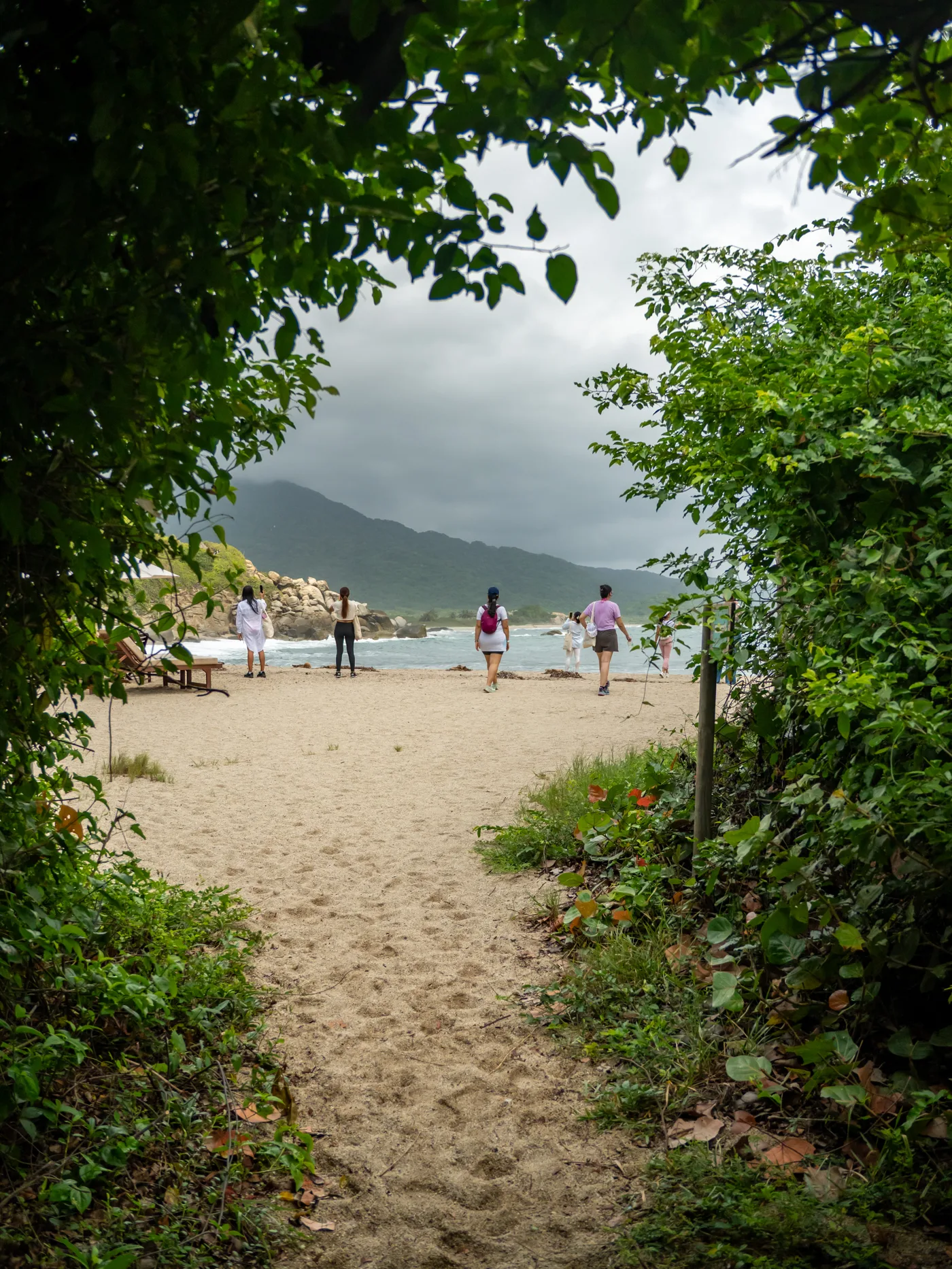 Sendero hacia la playa en Tayrona